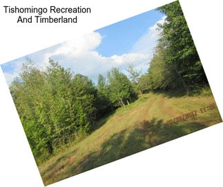 Tishomingo Recreation And Timberland
