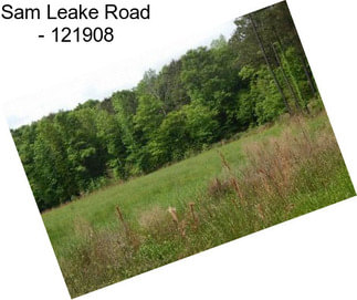 Sam Leake Road - 121908