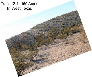 Tract 12-1: 160 Acres In West Texas