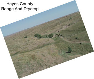 Hayes County Range And Drycrop