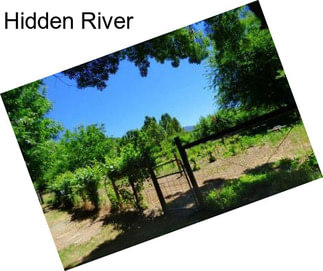 Hidden River