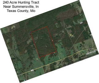240 Acre Hunting Tract Near Summersville, In Texas County, Mo