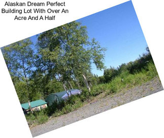 Alaskan Dream Perfect Building Lot With Over An Acre And A Half