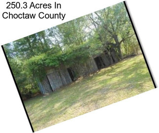 250.3 Acres In Choctaw County