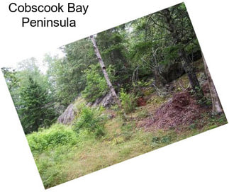 Cobscook Bay Peninsula