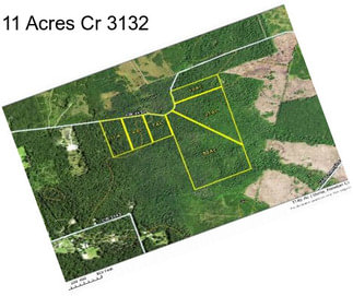 11 Acres Cr 3132