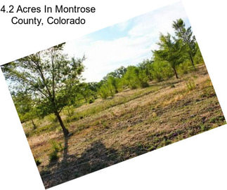 4.2 Acres In Montrose County, Colorado