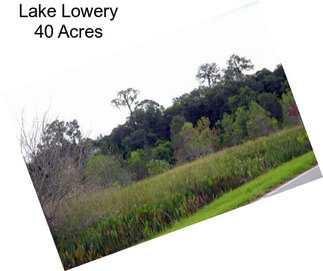 Lake Lowery 40 Acres