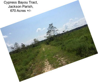 Cypress Bayou Tract, Jackson Parish, 670 Acres +/-