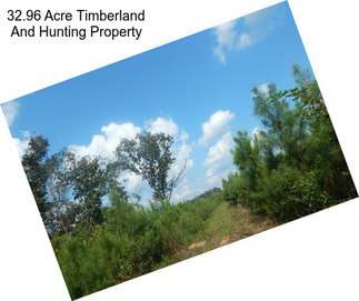 32.96 Acre Timberland And Hunting Property