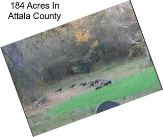 184 Acres In Attala County
