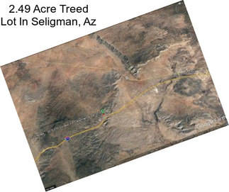 2.49 Acre Treed Lot In Seligman, Az