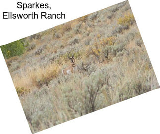 Sparkes, Ellsworth Ranch