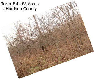 Toker Rd - 63 Acres - Harrison County