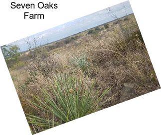 Seven Oaks Farm