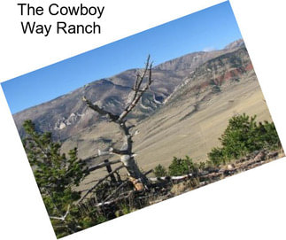 The Cowboy Way Ranch