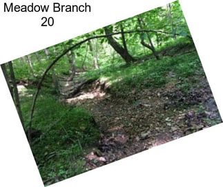 Meadow Branch 20