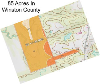 85 Acres In Winston County