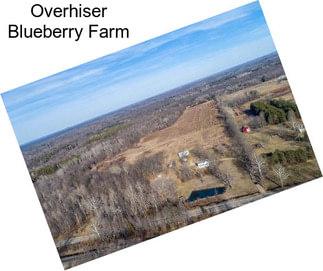 Overhiser Blueberry Farm