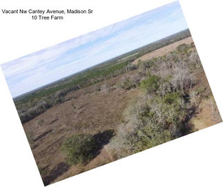 Vacant Nw Cantey Avenue, Madison Sr 10 Tree Farm