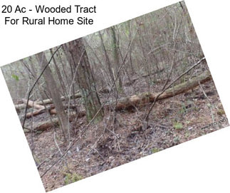 20 Ac - Wooded Tract For Rural Home Site