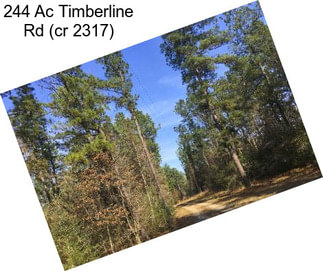 244 Ac Timberline Rd (cr 2317)