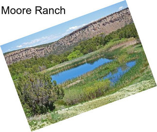 Moore Ranch