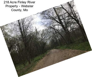 218 Acre Finley River Property - Webster County, Mo