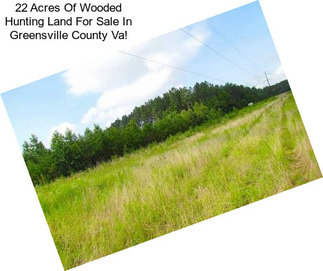 22 Acres Of Wooded Hunting Land For Sale In Greensville County Va!