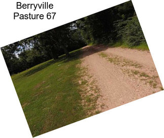 Berryville Pasture 67