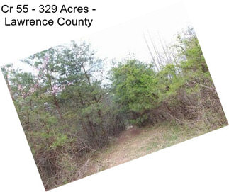 Cr 55 - 329 Acres - Lawrence County