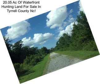 20.05 Ac Of Waterfront Hunting Land For Sale In Tyrrell County Nc!