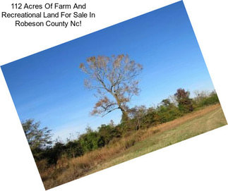 112 Acres Of Farm And Recreational Land For Sale In Robeson County Nc!