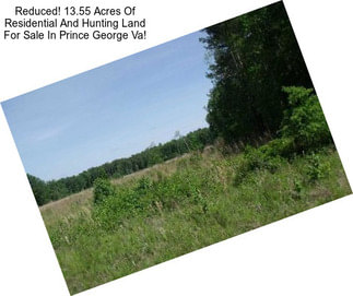 Reduced! 13.55 Acres Of Residential And Hunting Land For Sale In Prince George Va!
