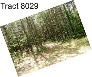 Tract 8029