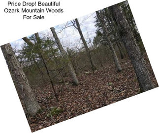 Price Drop! Beautiful Ozark Mountain Woods For Sale