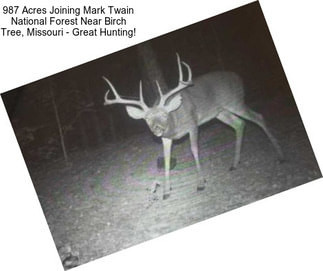 987 Acres Joining Mark Twain National Forest Near Birch Tree, Missouri - Great Hunting!