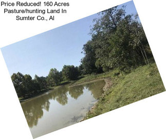 Price Reduced! 160 Acres Pasture/hunting Land In Sumter Co., Al