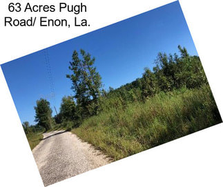 63 Acres Pugh Road/ Enon, La.
