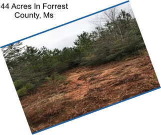 44 Acres In Forrest County, Ms