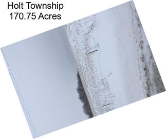 Holt Township 170.75 Acres