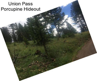 Union Pass Porcupine Hideout