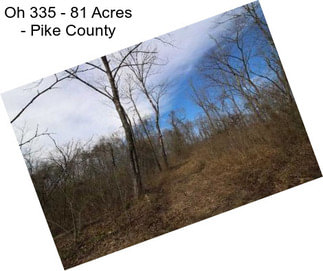 Oh 335 - 81 Acres - Pike County