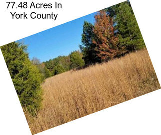 77.48 Acres In York County