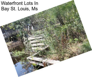 Waterfront Lots In Bay St. Louis, Ms