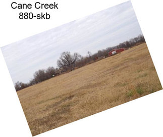 Cane Creek 880-skb