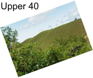 Upper 40