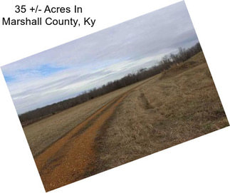 35 +/- Acres In Marshall County, Ky