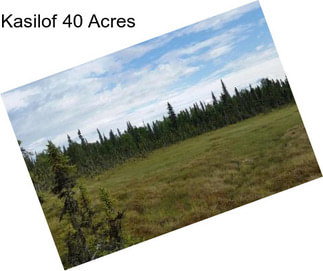 Kasilof 40 Acres