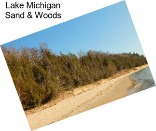 Lake Michigan Sand & Woods